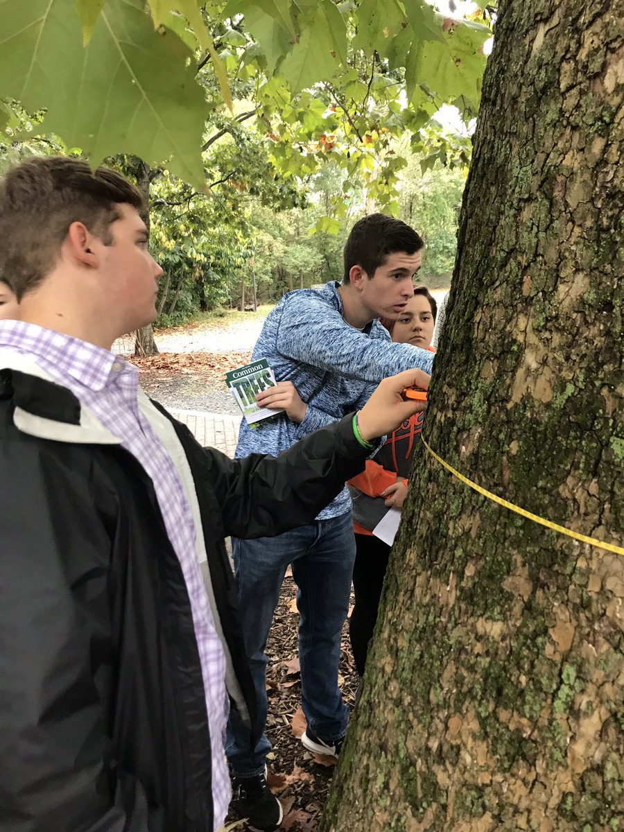 BethKirman's tweet photo. Students measuring #trees for #merchantability #envirothon #APES @LowerDauphin https://t.co/OifqFEMmzk