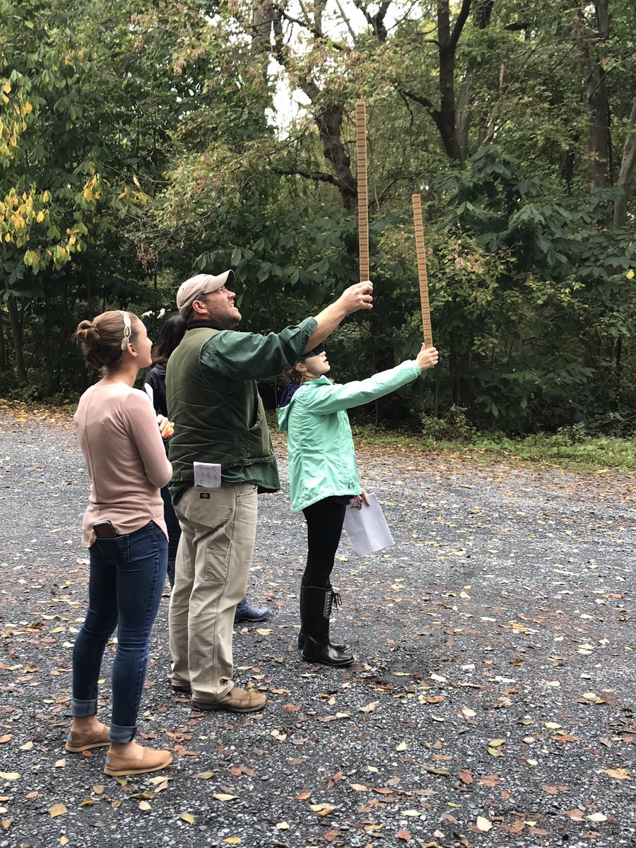 BethKirman's tweet photo. Students measuring #trees for #merchantability #envirothon #APES @LowerDauphin https://t.co/OifqFEMmzk