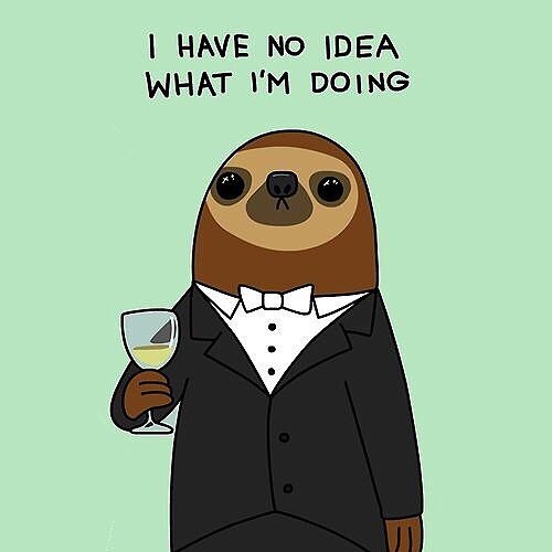 cadelbrado's tweet photo. Slow but always conscious #sloth #brado #consciousness #slowisbetter #slowbeer #elegance #picoftheday #wild #slow … https://t.co/xUoo65oMln https://t.co/R0CLSMQOH0
