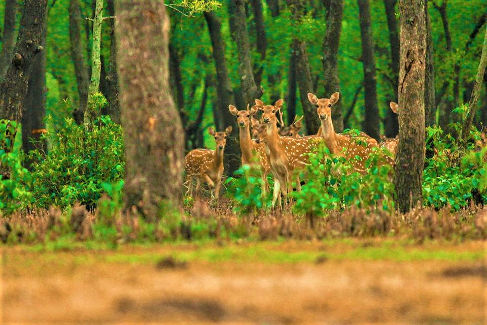 Images Courtesy: Worldheritagebd