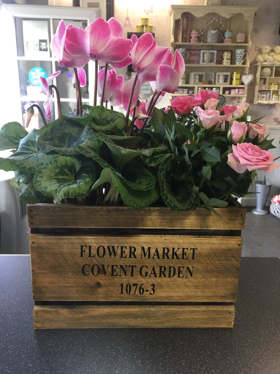 LaBelleFleurSWF's tweet photo. Wooden planters #plants #labellefleur #southwoodhamferrers #pretty #gifts #home https://t.co/kH6PtXtWwE