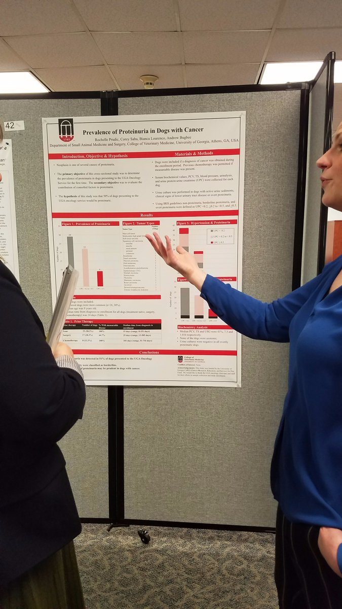 Monica_Dhorses's tweet photo. Rochelle Prudic presenting on proteinuria and cancer! Excellent Job!! #SVMS2017 https://t.co/sn5b5FzMuF