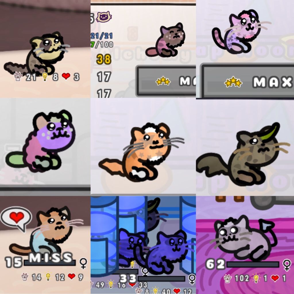 MouseMob tweet media