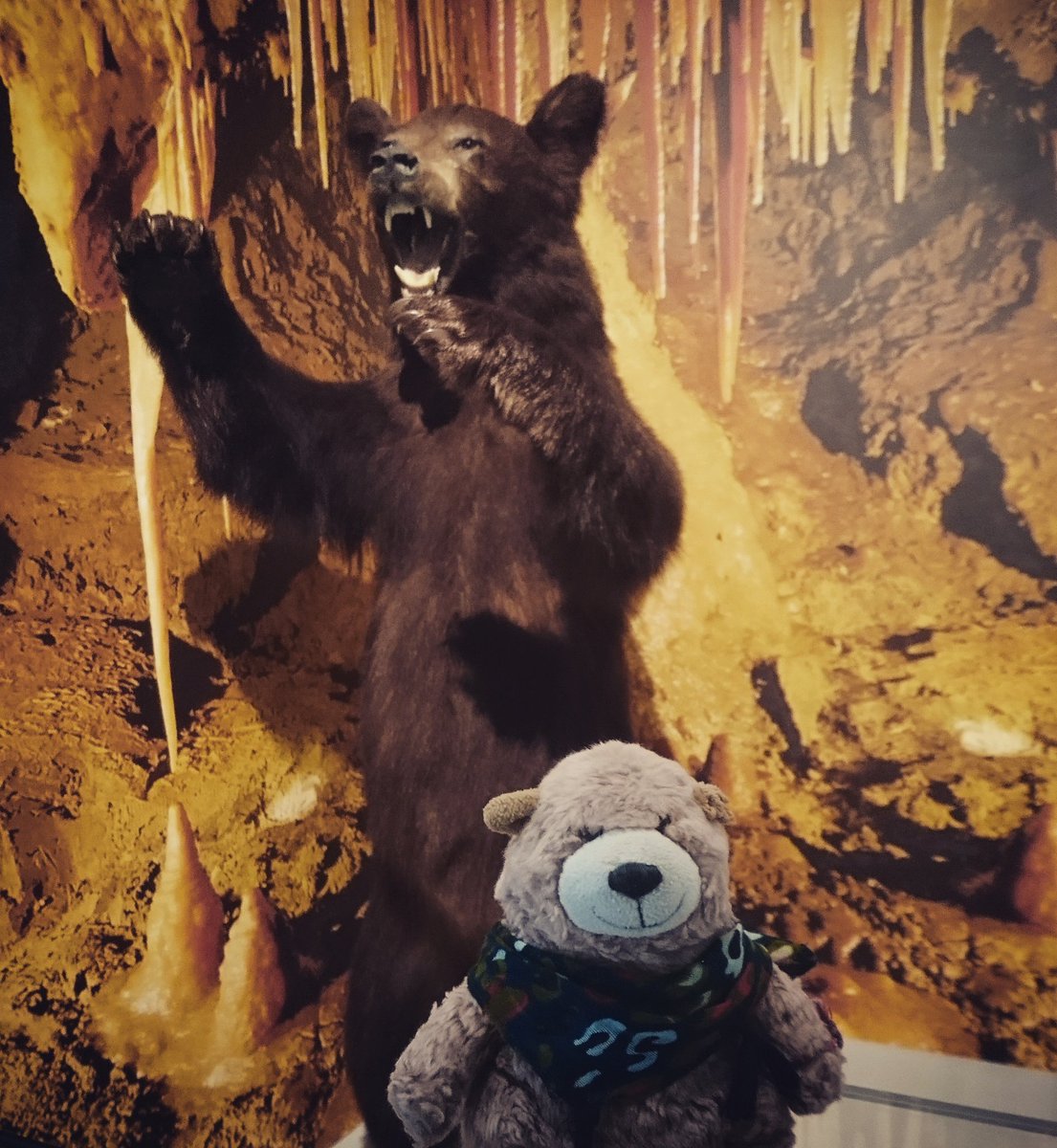 Hear me roar! Newly refurbished <a href="/BuxtonMuseum/">Buxton Museum</a> be sure to visit next time you're in Derbyshire, excellent and free! #rescuebear