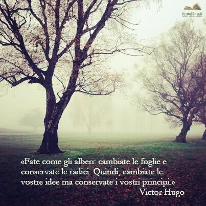 PromozioneWeb's tweet image. "Fate come gli alberi: cambiate le foglie e conservate le radici..." 
(Victor Hugo)
#RadiciMie