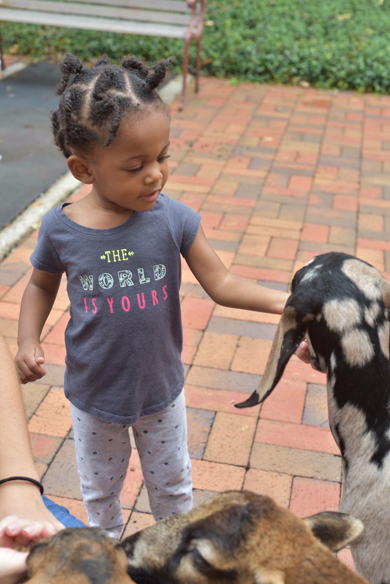 FBCPanamaCity's tweet image. While the mom is away the KIDS will play! #goatfun #mmo