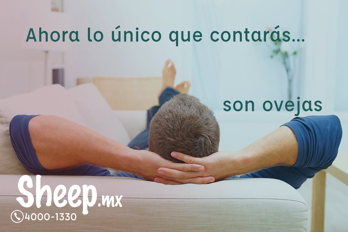 sheep_mx's tweet photo. Contabilidad integral en una sola plataforma Sheep!
https://t.co/CKDodpBR9V
#FacturaciónElectrónica #Emprendedores #Profesionista #StartUpMx https://t.co/JuuXgbCKqO
