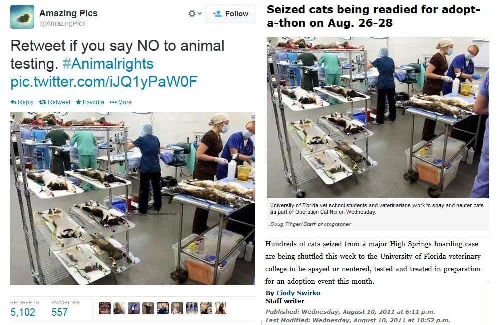 SpeakofResearch's tweet photo. An image of cats tied to boards titled "animal testing" got 1000s of retweets. But the facts don't fit the caption.
https://t.co/EjPs3oZ7vj https://t.co/hxFz54HUBc