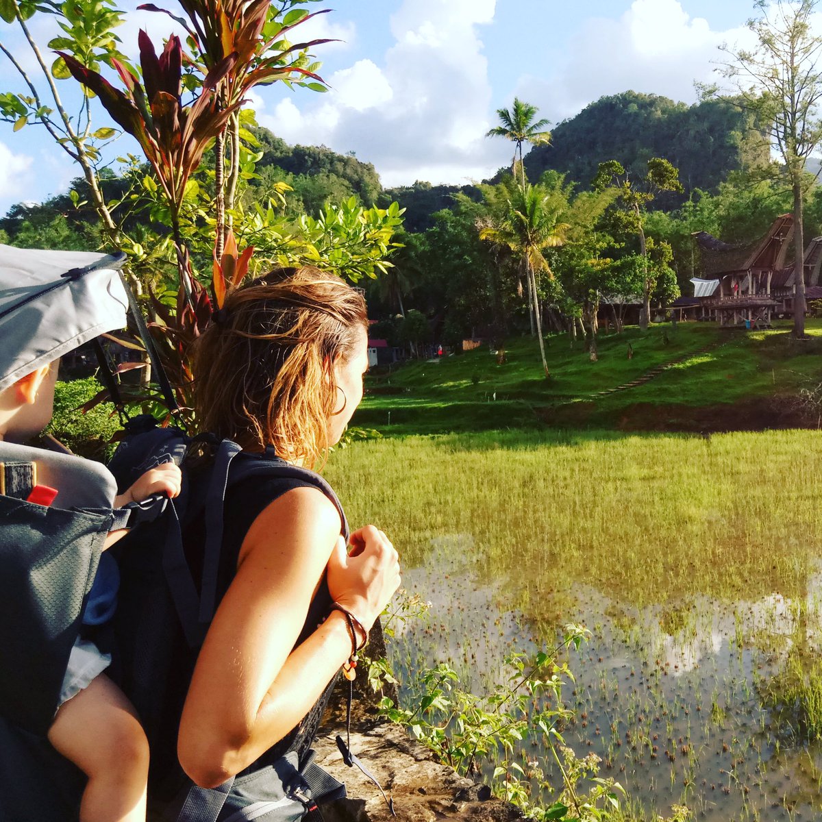 chabada_tralala's tweet photo. 6 pieds dans les rizières en pays #Toraja https://t.co/CUy4UvSFNi