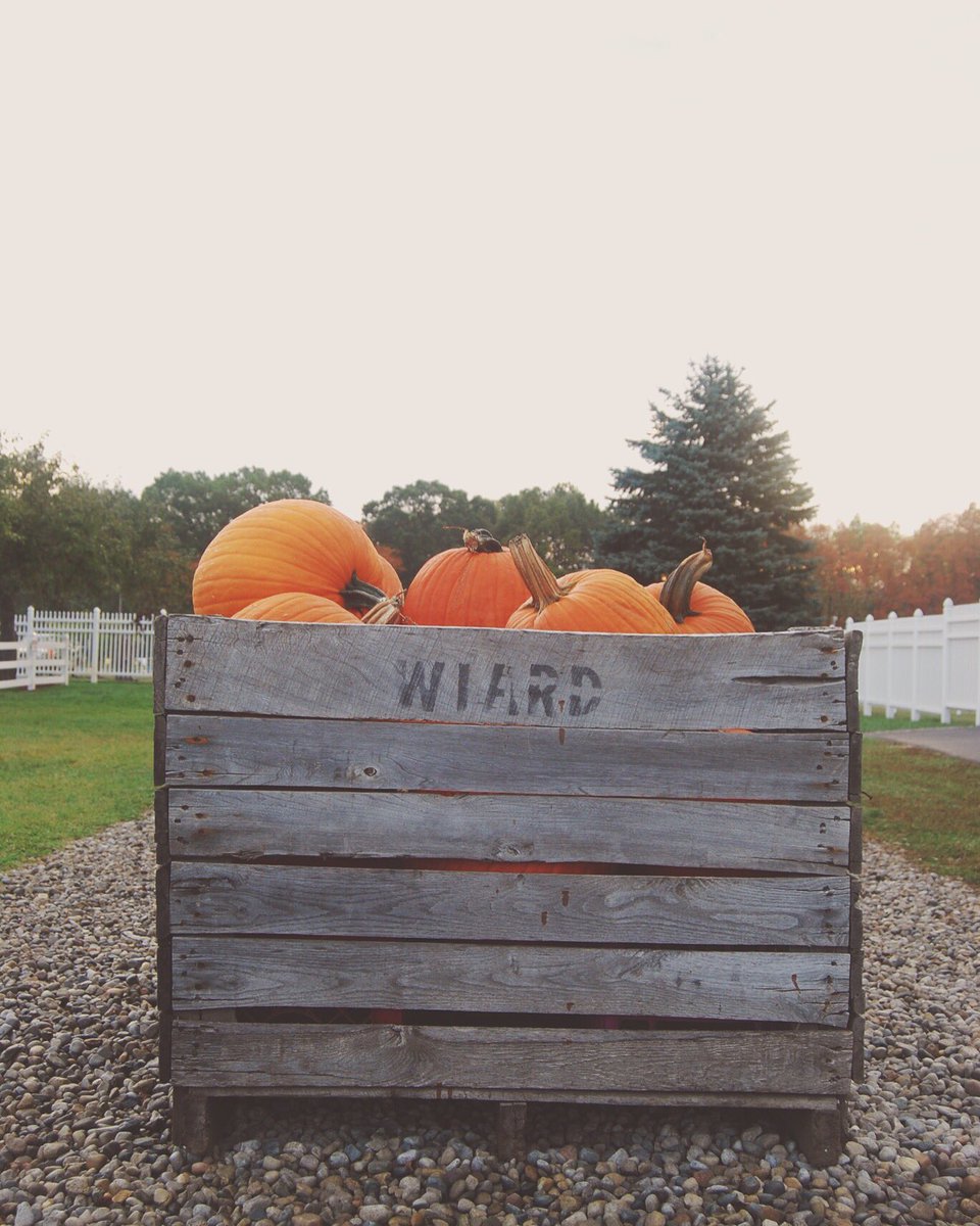 🍁🎃