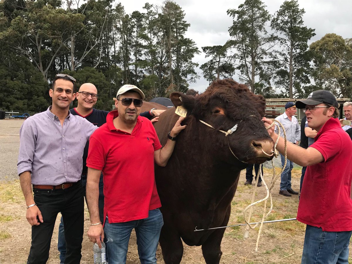 MattBundaleer's tweet photo. Guys from the #PinkPig checking out the 2016 #RAS Supreme Champion @ #theCarltonClub @JBSThousandGSB https://t.co/WAfm4q3EHb
