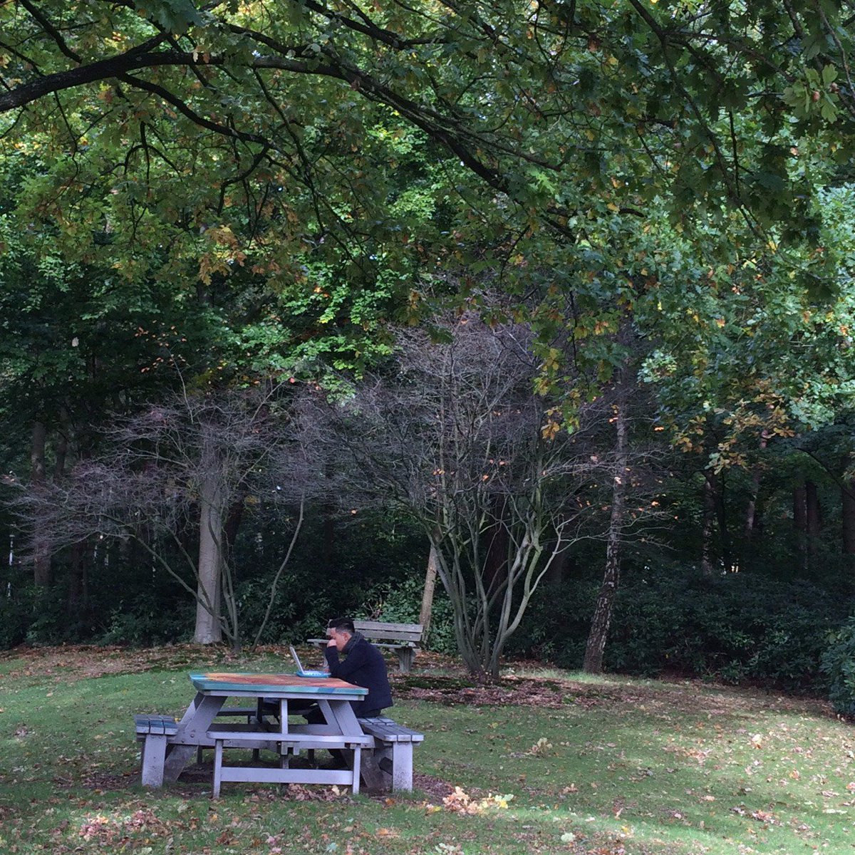 iljakramer's tweet photo. Mijn werkomgeving; de groene campus van de Radboud Universiteit. Waar je op 12 oktober gewoon in het bos kan studeren, werken... https://t.co/L8OytEXVHX