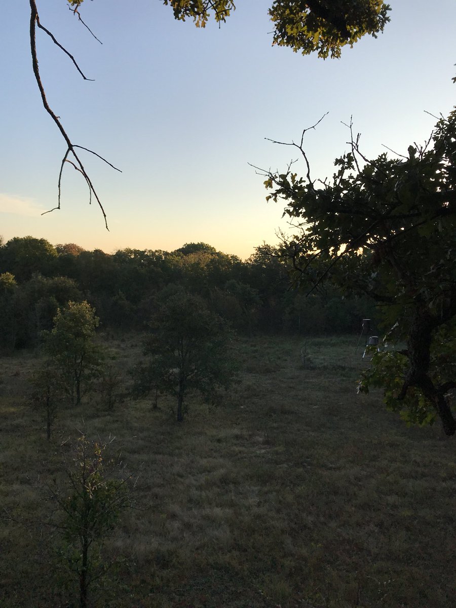 TexasBowHunting's tweet photo. Waiting game https://t.co/F1Dsv7h74P