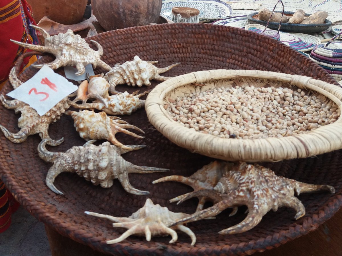 SOMTA_SO's tweet photo. @MogMunicipality with traditional attractions u won't imagine @MadeInXamar #ilaDalxiis https://t.co/JG6OaBafoq