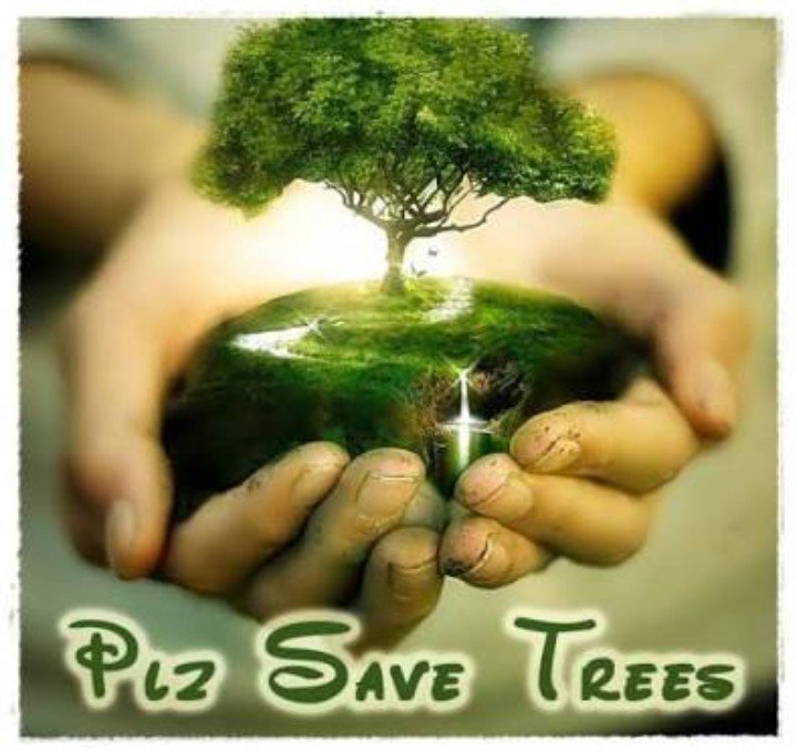 SaveTree11 tweet picture