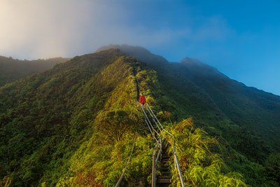 RadSurvivalGear's tweet photo. Photo By Kalen Emsley | Unsplash 
 #hikinggirl #hikingfun #hiking👣 #hikingbuddies #hikingdogsofinsta https://t.co/9TTabfLEBI