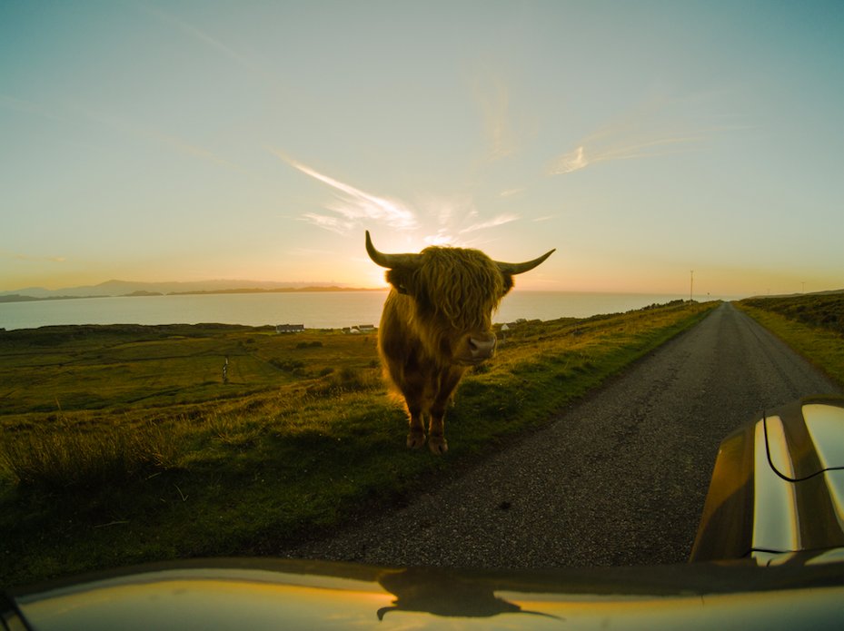YITechnology's tweet photo. Where will your journey take you? Capture all the magic with the YI 4K+ Action Camera. 📸: @elproducente Get yours: https://t.co/8vvFU414i9 https://t.co/Aexcg3WNGq
