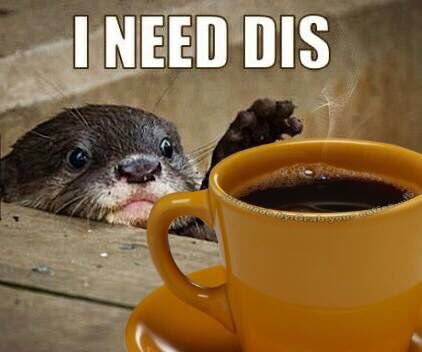 CrystalRunsFree's tweet photo. It's snowing again... 😆 #sendcoffee #yyc #sendsummer https://t.co/9efJsJOfjK