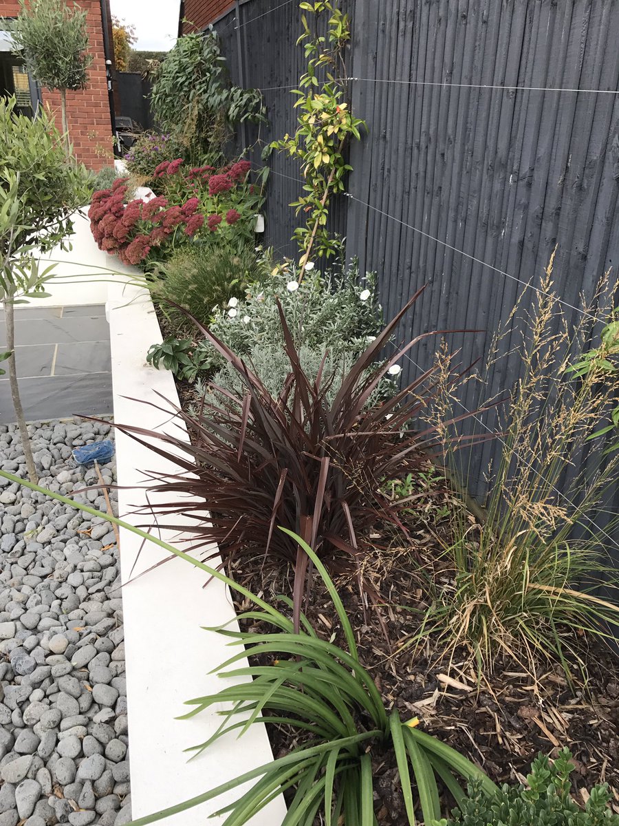 plantingworks's tweet photo. Been back today to a garden I designed and planted up last Summer. A year on and it's looking fantastic #plantingworks #moderncontemporary https://t.co/3kzERKi4vx