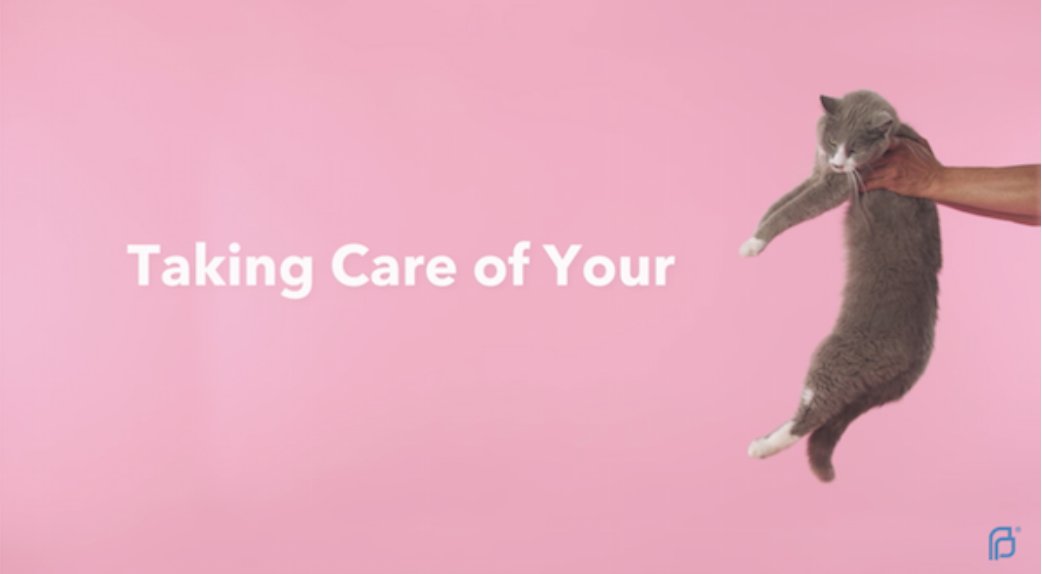 Planned Parenthood's new campaign on sex education-well done ow.ly/WNif30fMKT7