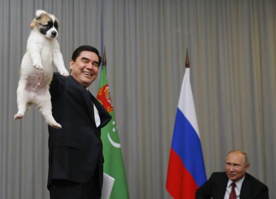 Uzivatel Chae Na Twitteru プーチンがもらったアラバイ犬 ほしいと思ったけど成犬が思いの外大きい