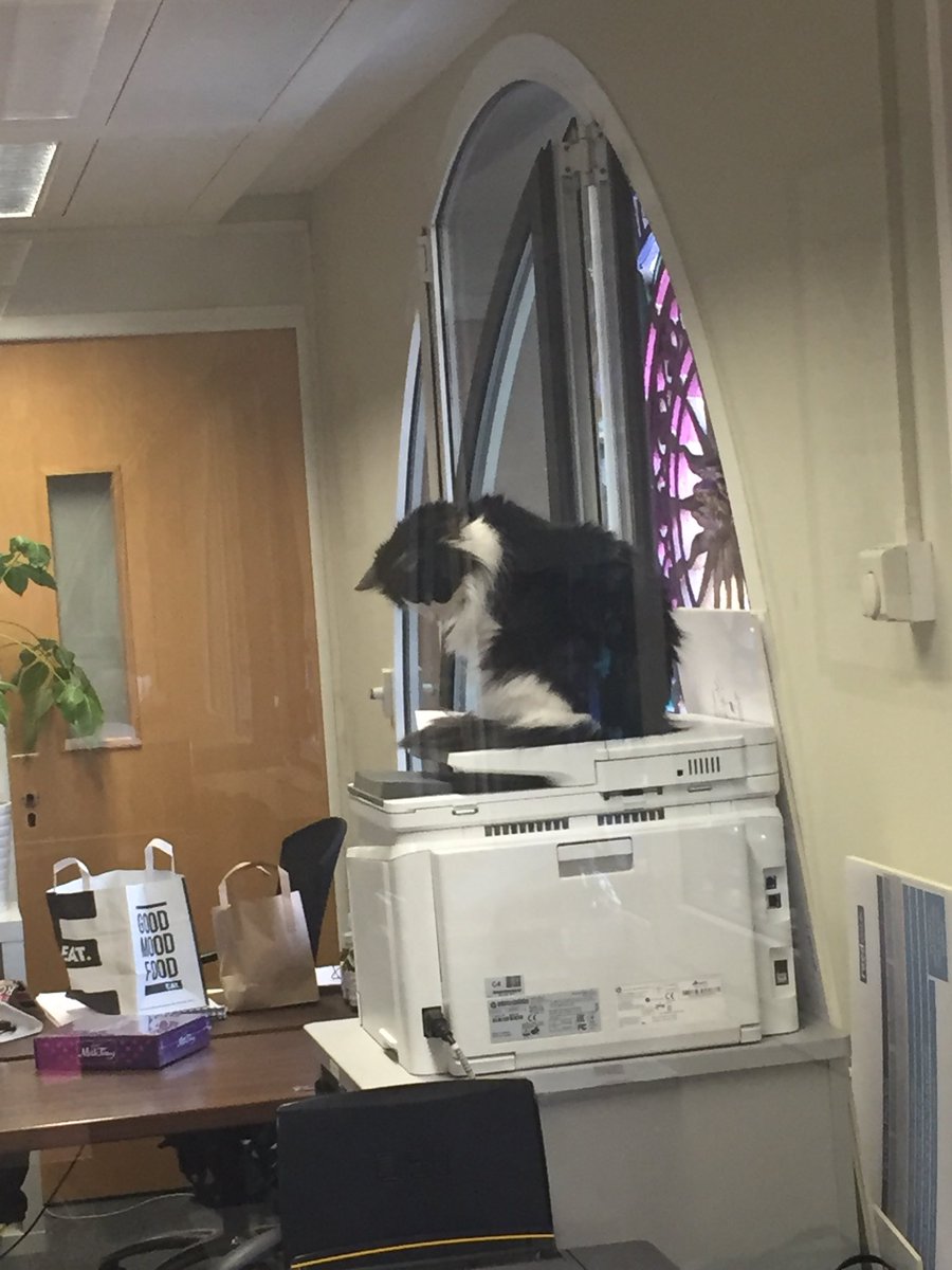 <a href="/IWStartupCat/">StartUp Cat</a> operating machinery again