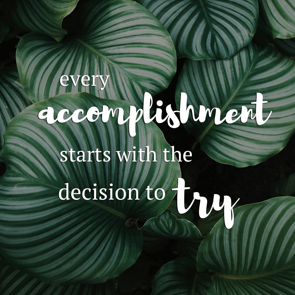 AmyLWarman's tweet photo. 🌟A new project &amp; a new blog to go with it 🌟 https://t.co/yRobJB1KBS #letsdothis #sustainablefashion #ethicalfashion #slowfashion #fashion https://t.co/rjS6kJB4XS