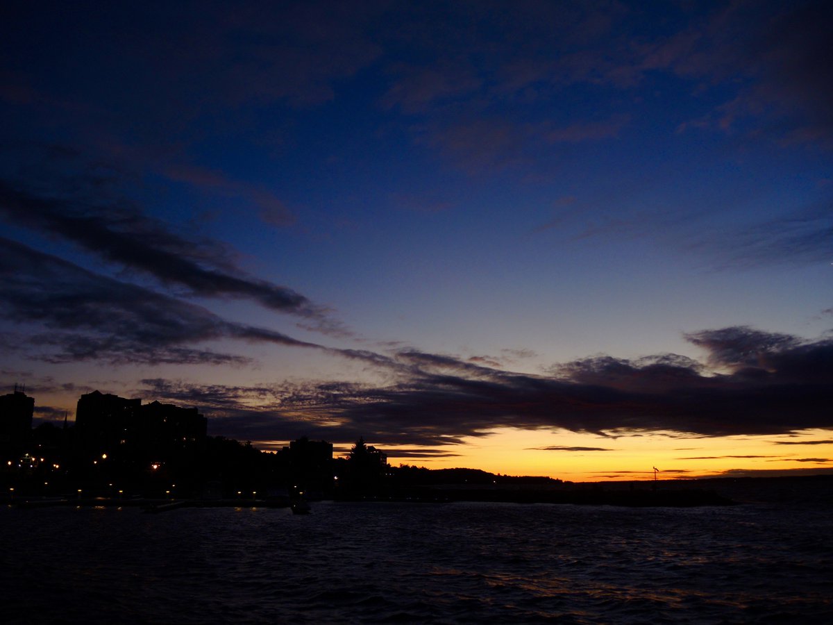 Sue Sgambati tweet media