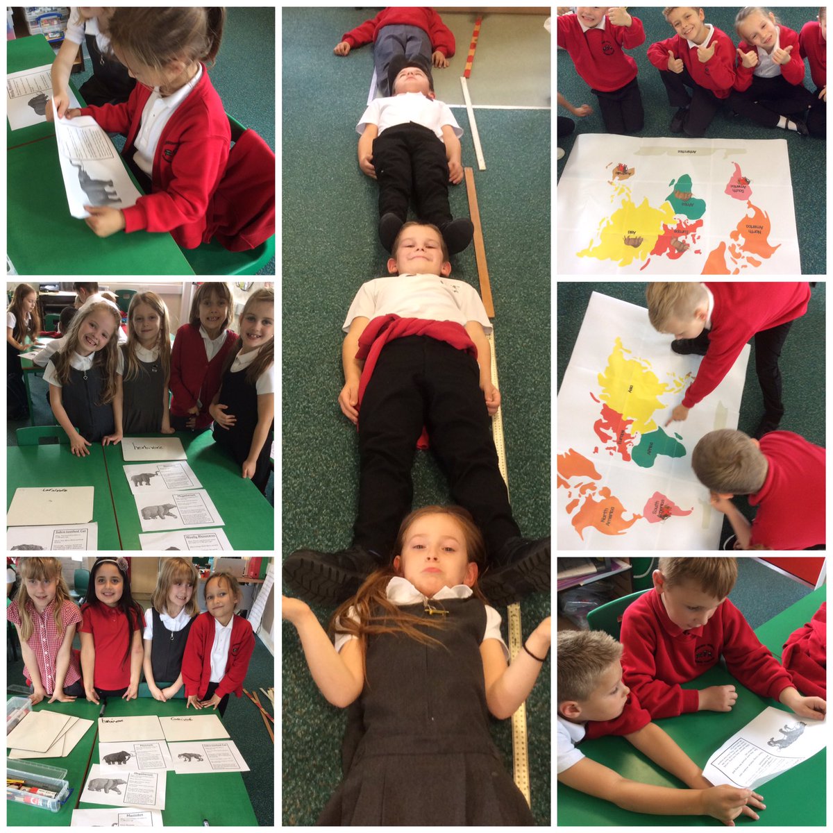 missrefoster's tweet photo. Stone Age beasts! We've had fun sorting herbivores &amp; carnivores, investigating where they lived &amp; measuring how big they were!@BoothferryPS https://t.co/27e1yjarBl