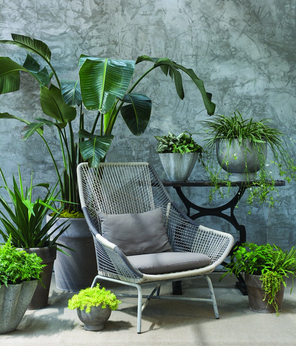 AccentDecor's tweet photo. Your verdant retreat. #gardens #Outdoos https://t.co/PROwE2ToGb