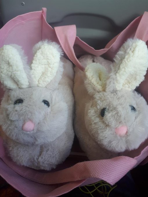 How cute are my new slippers 😍🐰😚🐰 https://t.co/7sXK5GSDGH<a href="/tag/camgirlprobz"class="tags"><span>#camgirlprobz</span></a>