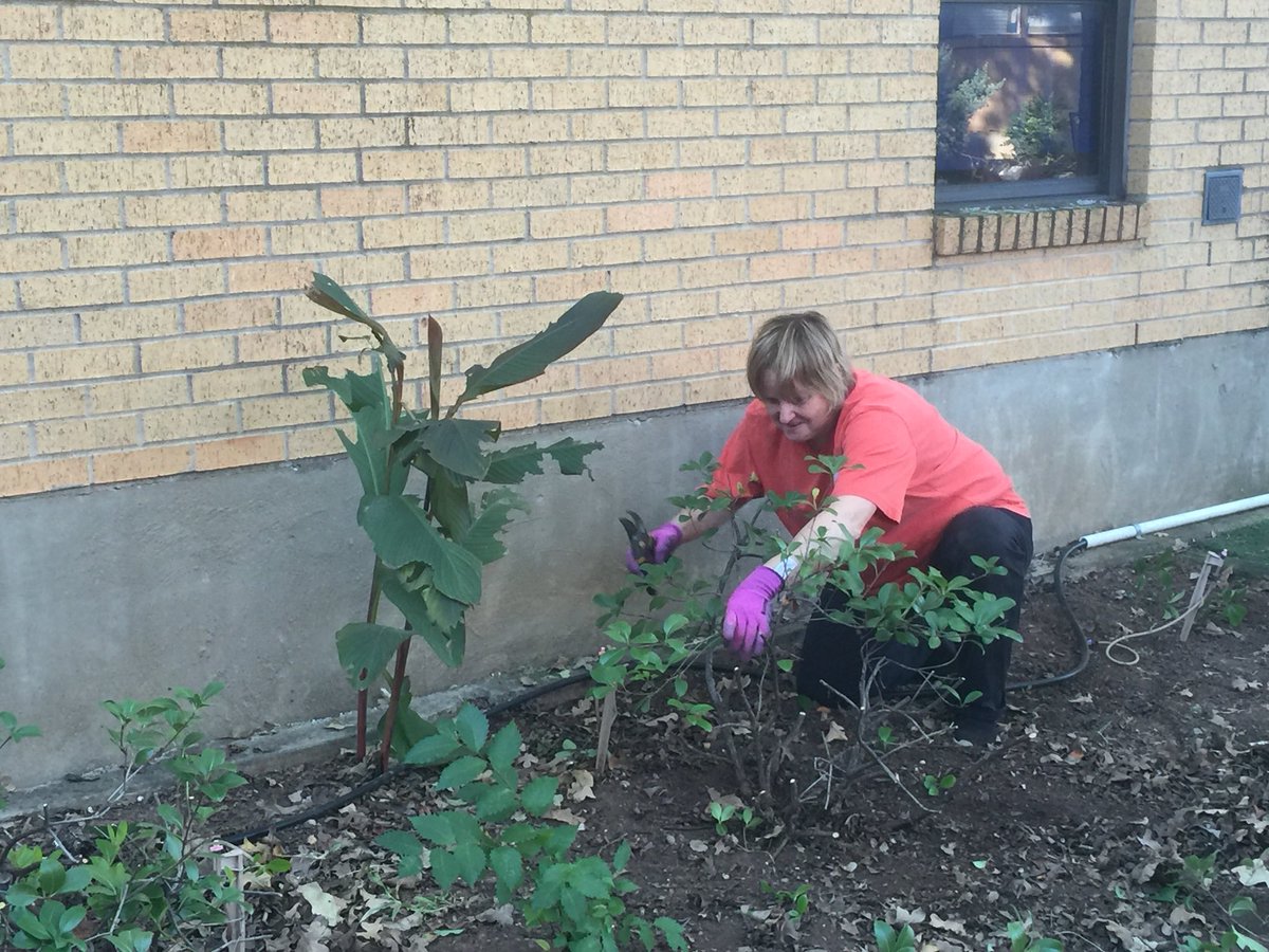 amyrollmann's tweet photo. Thank you to the Lake Worth Gardening Club for coming out to spruce up our courtyard! #azleISDway #EHfutureofTX https://t.co/QCvQGagwXl