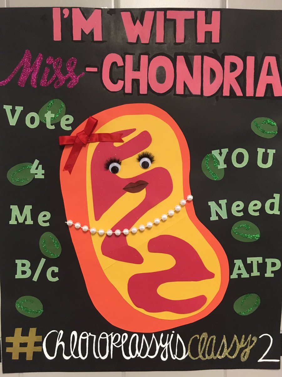 CrawfordMHS's tweet photo. #chloroplassyisclassy2 
#organellecampaign2017 https://t.co/7eQKA22koE