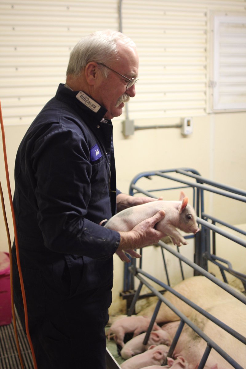 Happy National Farmer's Day to the hard-working pig farmers who spend their days #RealPigFarming! Thanks for all you do! #NationalPorkMonth