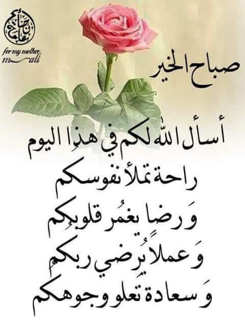 عيادة الباطنه والسكري والسمنه (@mstm117) on Twitter photo 