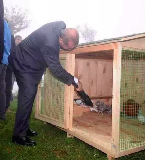 Hayvan sevgisini kendi PR'ları için kullanan liderleri samimi bulmuyorum. Yine en içteni Erdoğan.