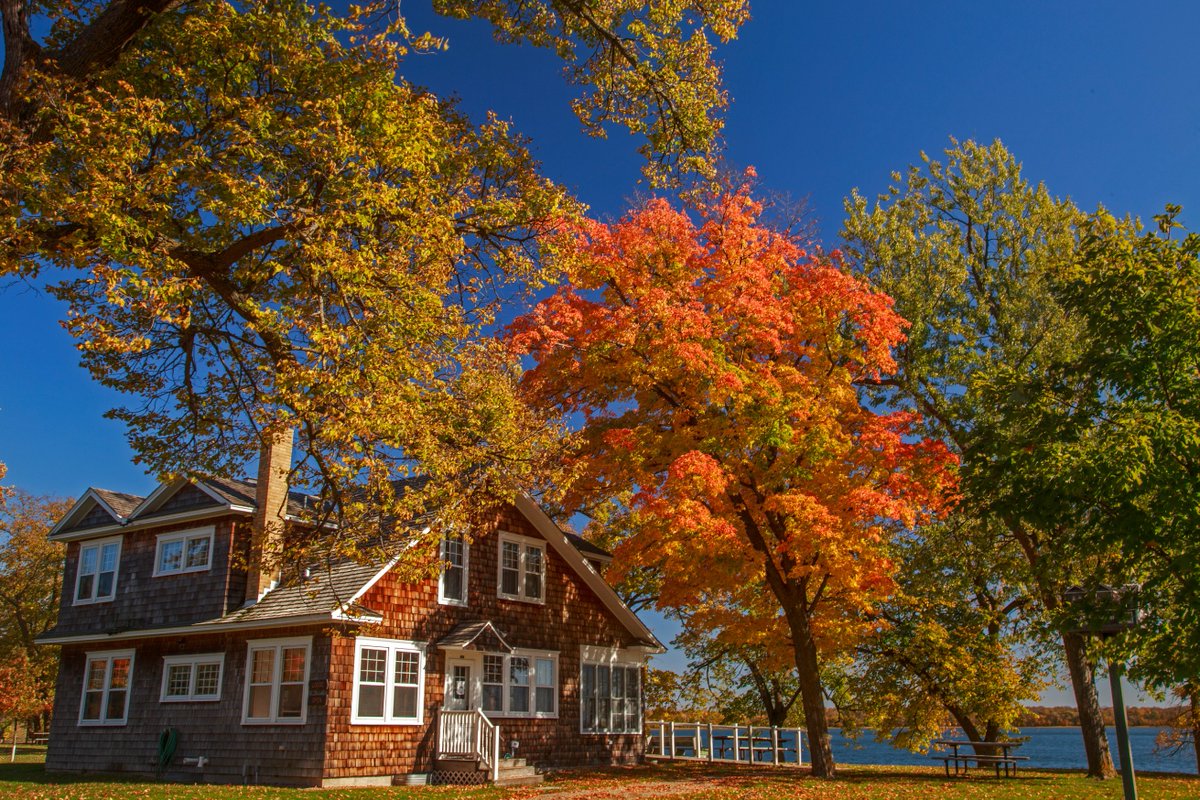 mnstateparks's tweet photo. Serious #WowofFall across Minnesota this week - A lot of peak colors! Hope you get out there this weekend! https://t.co/So74LwhyhF #OnlyinMN https://t.co/PITebdHWkZ