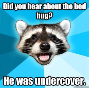 Acme_Pest_Mgmt's tweet photo. https://t.co/5zTSXkPoOd / (888) 535 - 2263
#ThursdayThoughts #BugJokes #PestPrevention https://t.co/KeVU2oAQ8E