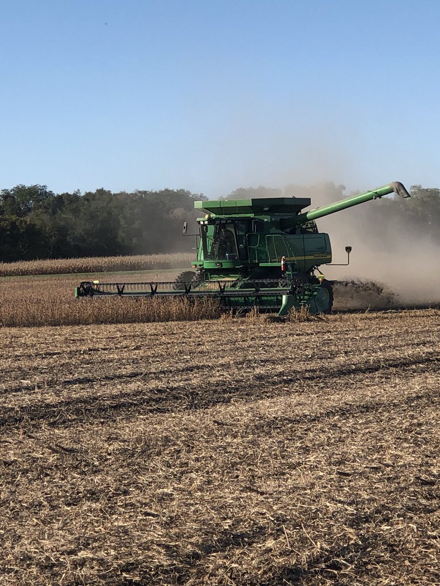 BrandonKoch83's tweet photo. Taking out some asgrow 14x7’s running low 60’s #MyFarmMyYield #YieldHunt17 https://t.co/JfFJ3UAoAs