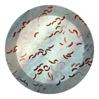 PLOS's tweet photo. PLOS launches a new home for #openaccess research on #Cholera, editors incl @drlouiseivers
@pezzapezzi 
@andrewazman
https://t.co/8awO3Qyjaa https://t.co/zmCtbC2lwJ