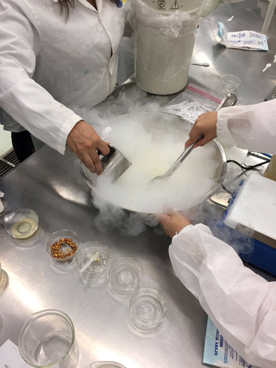 carovelasco_'s tweet photo. Esto de las palomitas nitrogenadas ya me gustó #OrgulloCCE https://t.co/6F2rLqvT19