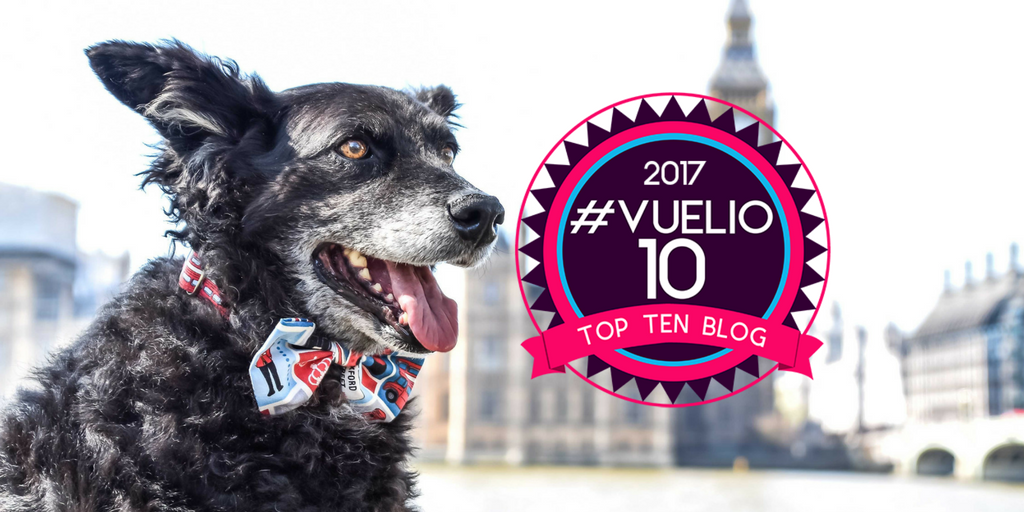 TheDogvine's tweet photo. So honoured to be chosen as one of the Top 10 UK Pet Blogs selected by @Vuelio https://t.co/SobBa2jAhc #dogblog #dogsoftwitter #londondog 🐾 https://t.co/iwEBBnAZgE