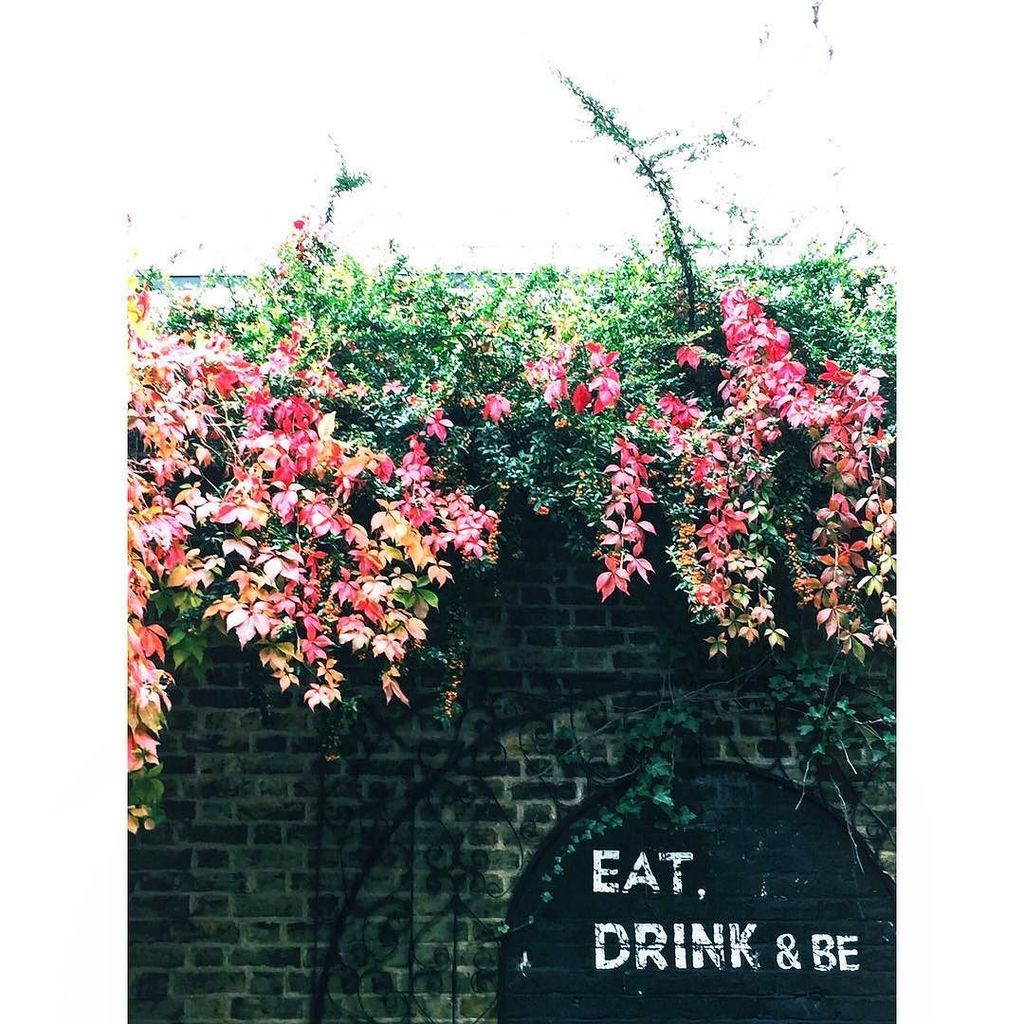 themakingoflola's tweet photo. ...don't mind if I do! #autumniscomming #autumnleaves #eatdrinkandbe #publife #liquidlunch #changeinseason #gradie… https://t.co/uvgmDcyBP0 https://t.co/xRkvtIQ4m8