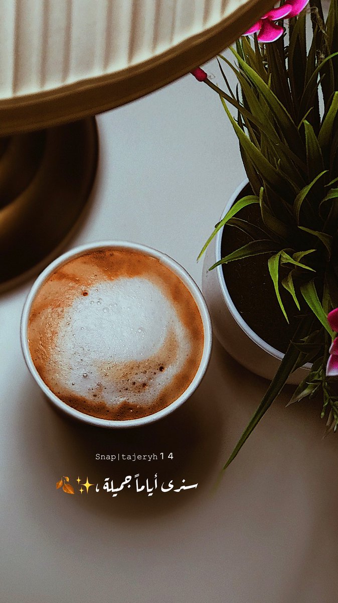 tamy_878's tweet photo. #قهوتي_بتصويري https://t.co/4YlqLx69jz