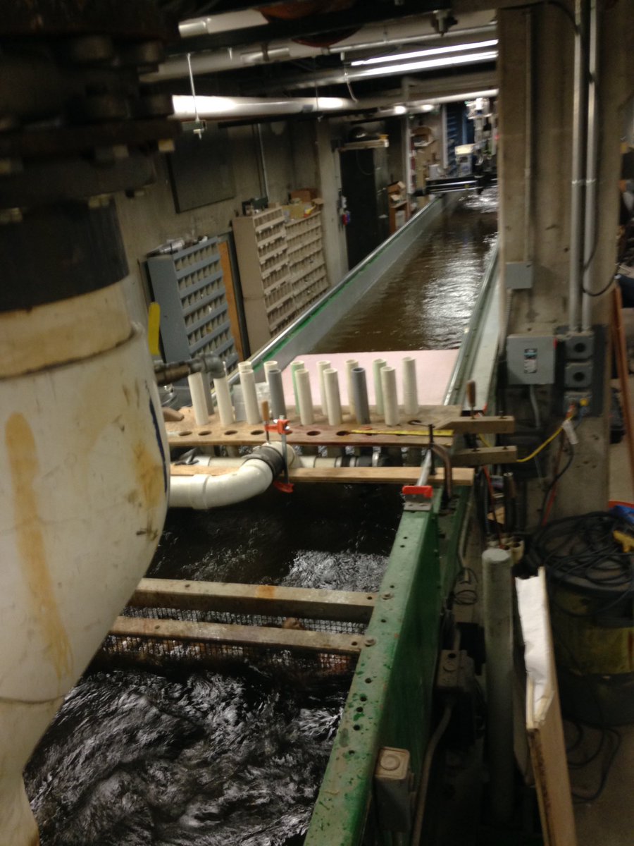 LaurenDSomers's tweet photo. Learned a ton about #gsflow at #UMN. Took a stroll through the Saint Anthony Falls #hydrology lab, so cool! @UMNews https://t.co/NOw8w4feGk