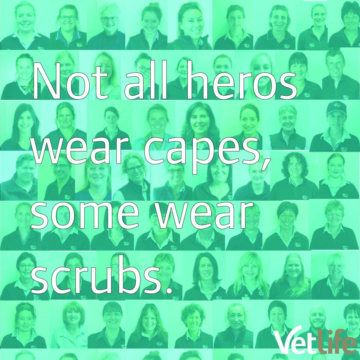 VetlifeNZ's tweet photo. They call you nurses, techs, assistants, customer service, and sometimes just superwoman/superman. #nzvna #vetnurseday2017 #nzva https://t.co/XiCwPMRSEY