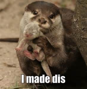 Debi_Boop's tweet photo. 💕👶🐾Aw #Otter baby💕👶🐾
https://t.co/BFZyWez53b
& You'll #Love To #Look @ #LOLBook Below! https://t.co/ayEHCKxe1A
