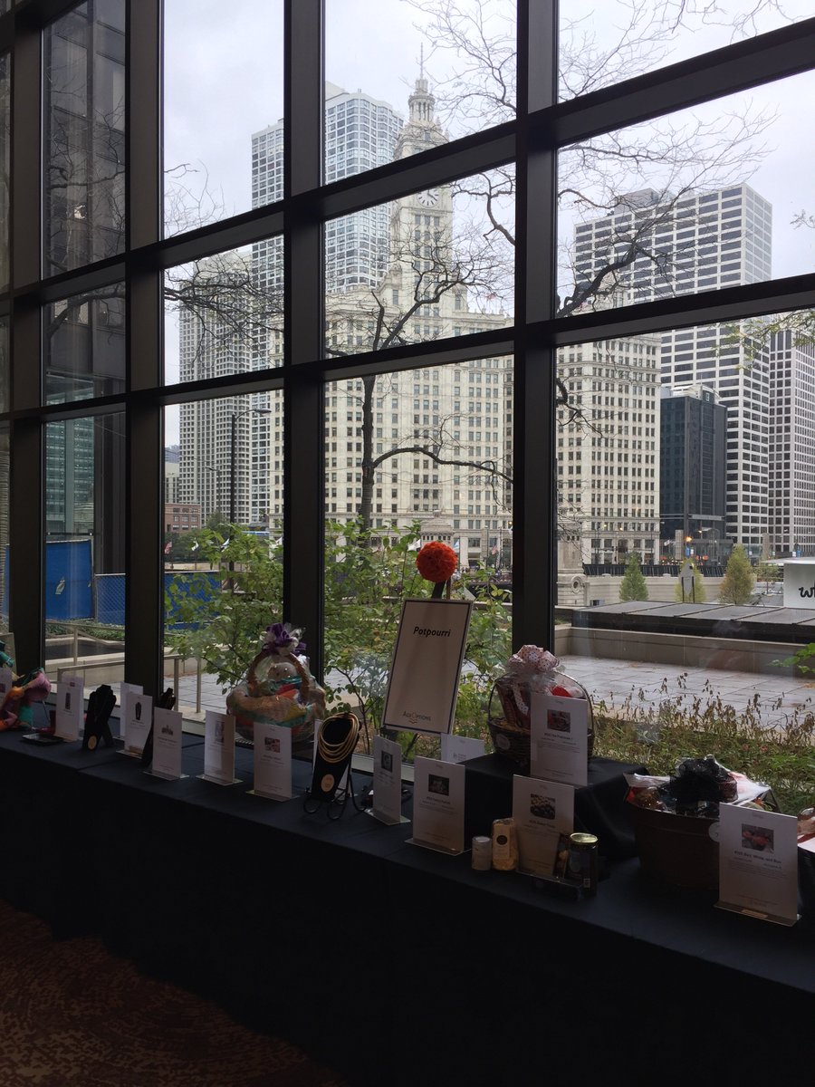 AgeOptions's tweet photo. Ready for tonight’s #AgeOptions event. You can donate & bid at https://t.co/aTlgl8OD9H #Chicago https://t.co/5P6faCzuxG