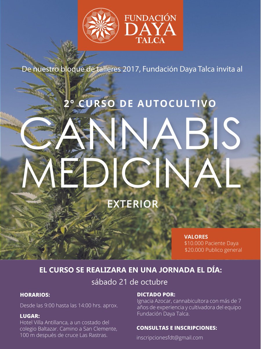 FundacionDaya's tweet photo. ¡Es tiempo de sembrar! @FundDaya_Talca realizará Curso de Autocultivo de Cannabis Medicinal el sábado 21 de octubre https://t.co/gJo8HRzJis https://t.co/SdVLiFctkA