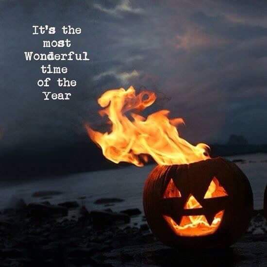 tamara glynn (@tamara_glynn) on Twitter photo 